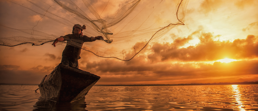 突破性進展！ 益生菌應用開創台灣石斑魚養殖新契機 水產養殖業迎來革命性轉機