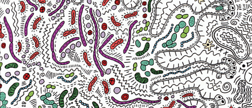 革新性三菌複合益生菌： 伊藤三菌為台灣畜牧業開創生長性能新紀元
